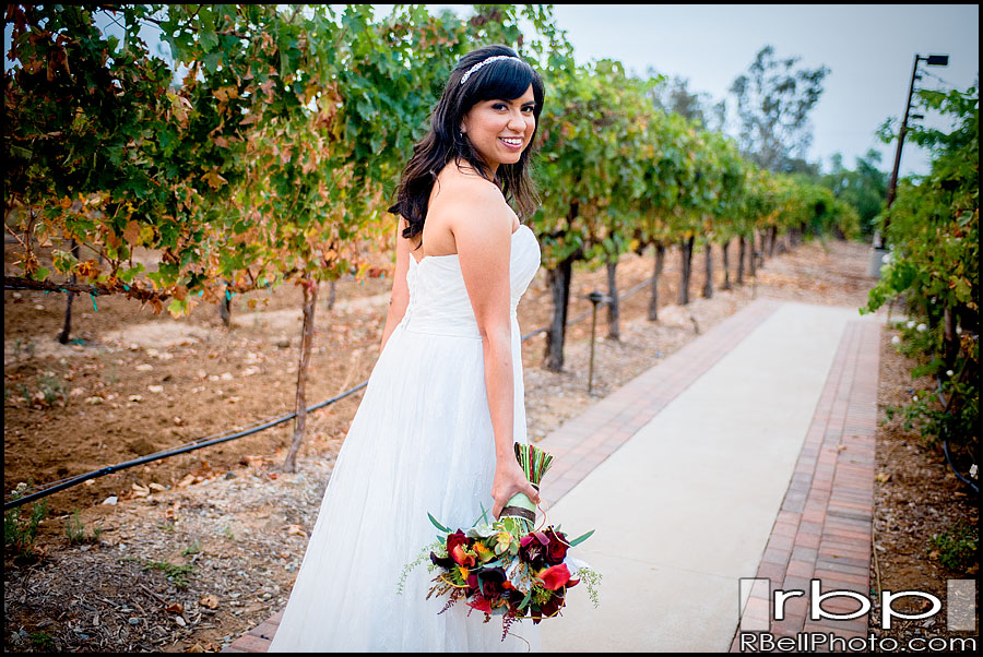 Temecula Wedding Photographer | Lorimar Vineyard Wedding Photographer