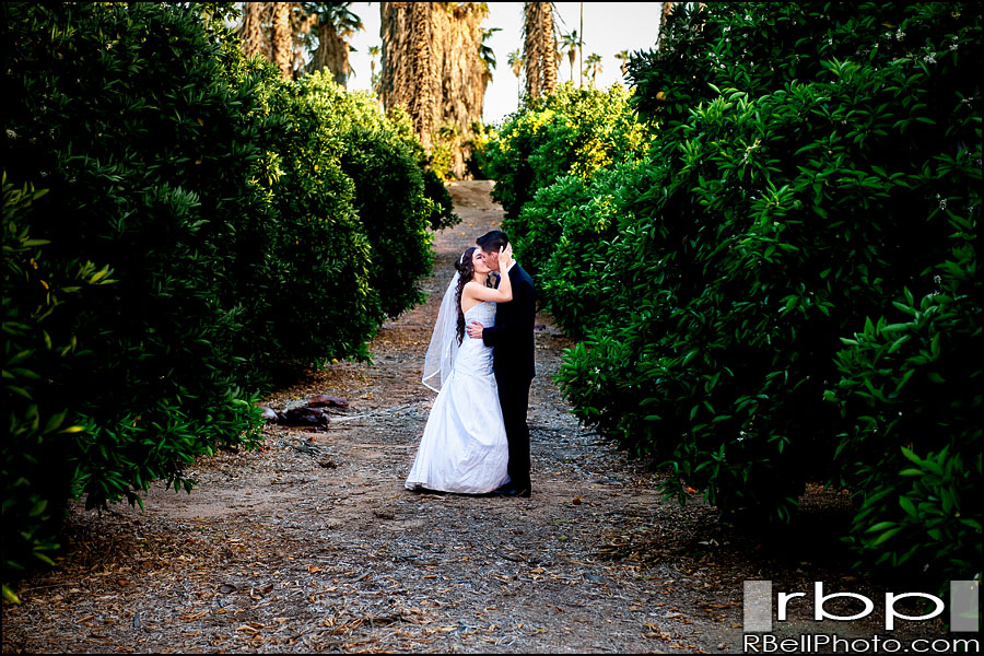 Riverside Wedding Photographer | Citrus State Park Wedding Photographer